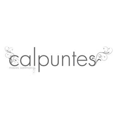 Cal Puntes